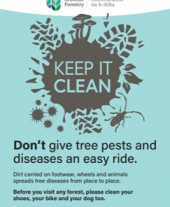 A3 Keep it Clean forest biosecurity poster standard
